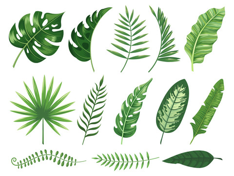 多种绿色植物叶片创意设计插图