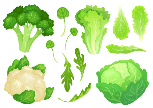 各式鲜绿蔬菜图标
