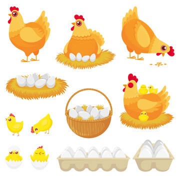 金黄母鸡孵蛋卡通插图