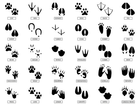 多种动物脚掌印图标