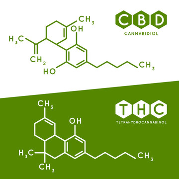 绿白医疗大麻化学键图标