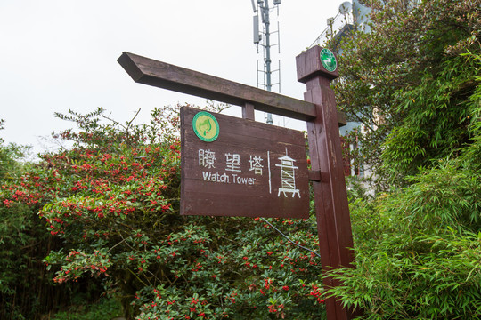 广西桂林猫儿山自然保护区瞭望塔