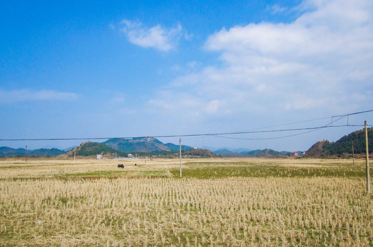 中国江西南方乡村秋冬野外自然风