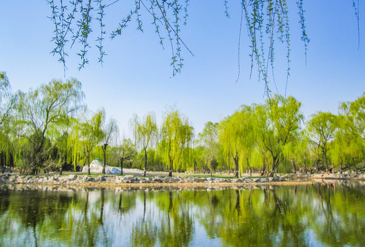 中国北京圆明园自然风光