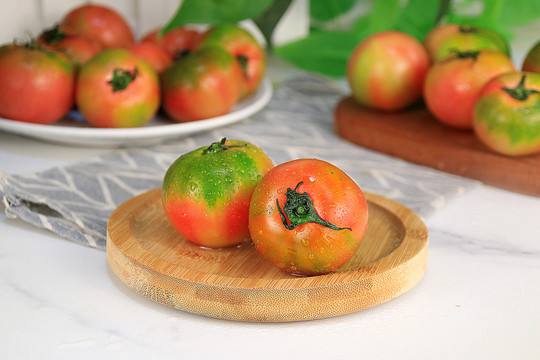 绿腚西红柿