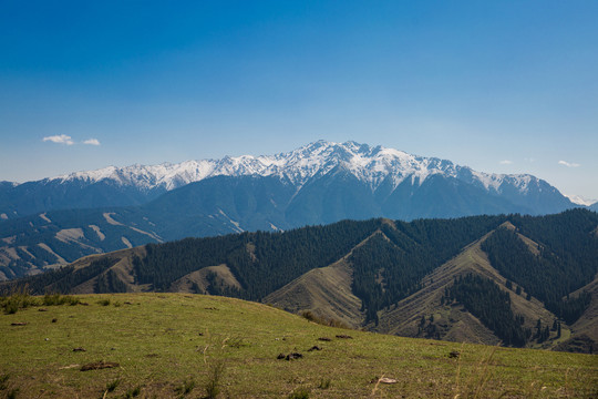 新疆南山之自然风景