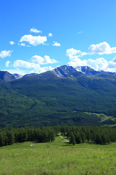 高山风光