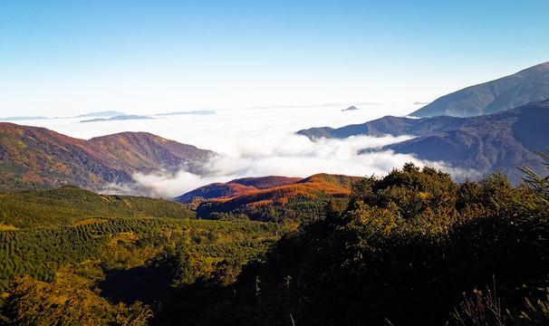 美姑龙头山云海牛背山云海佛光