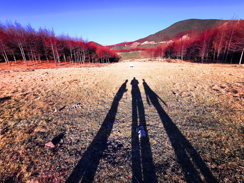 美姑龙头山林海雪原川西红叶