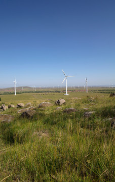 中国张北草原和风力发电风车景观