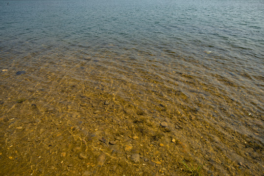 斑斓的河流浅滩