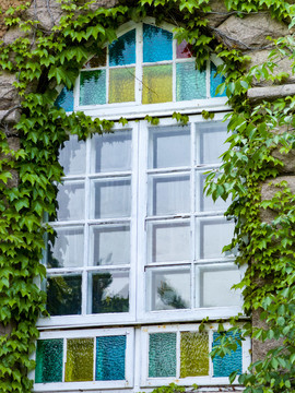 绿叶环绕的欧式白色窗户