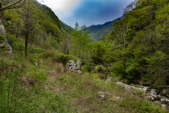 秦岭汤峪深山