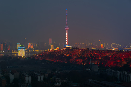 湖北武汉城市天际线风光