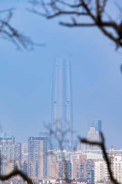 湖北武汉城市天际线风光