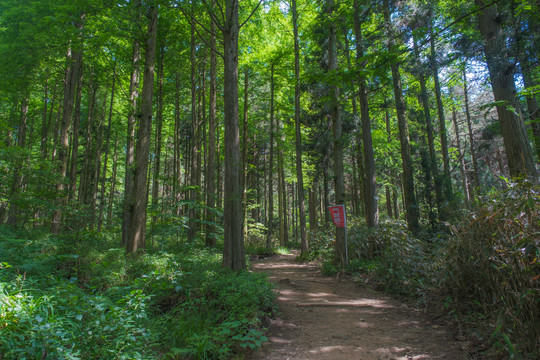 湖北黄冈罗田大别山薄刀锋风景区