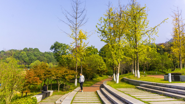 尖山湖秋景