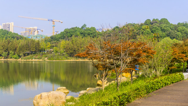 尖山湖秋景