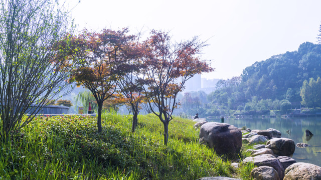 尖山湖秋景