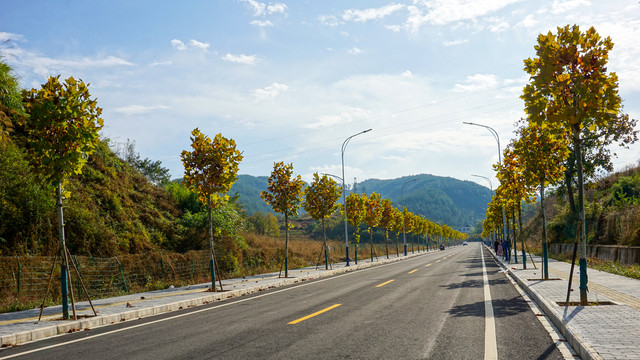 溪城秋天道路