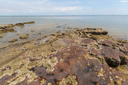 防城港簕山古渔村礁石