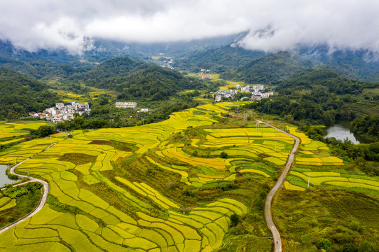 广东封开大地铺金乡村如画