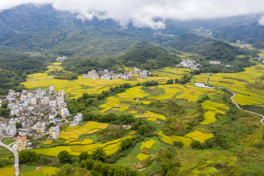 广东封开大地铺金乡村如画