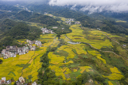 广东封开大地铺金乡村如画