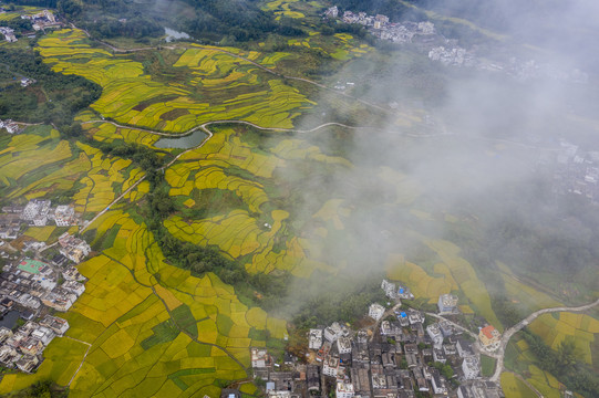 广东封开大地铺金乡村如画