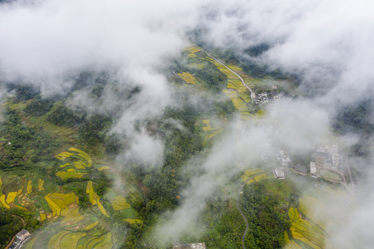 广东封开大地铺金乡村如画