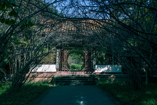 空荡荡的公园