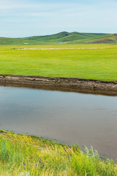 草原河流羊群牧场