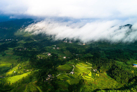 金佛山云海山王坪重庆风景盘山路