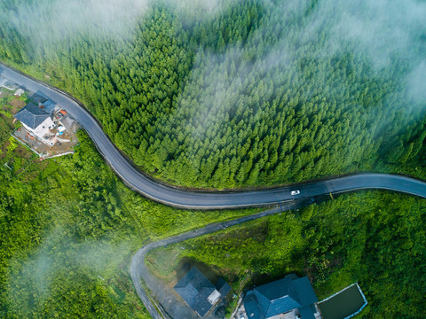 金佛山山王平马尿水