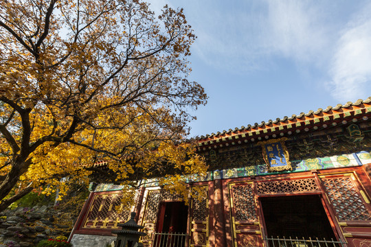 红叶掩映下的北京香山公园勤政殿