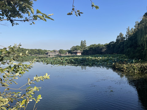 西湖景区