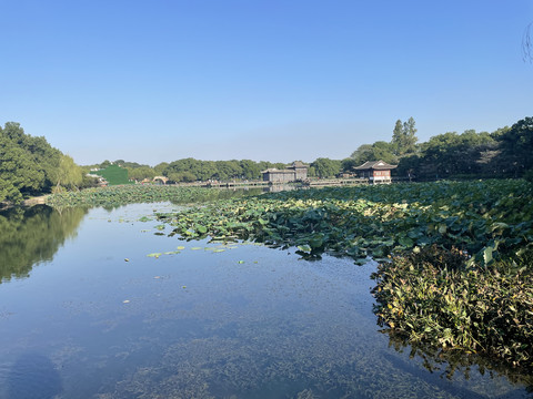 西湖景区
