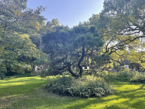 西湖景区