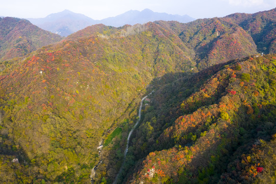 秦岭山秋景