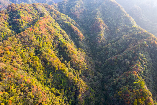 秦岭山秋色