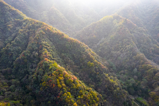 秦岭山秋景