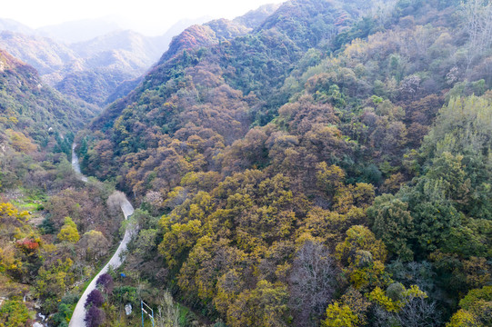 秦岭山秋景