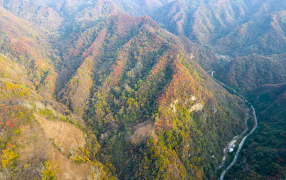 秦岭山秋色