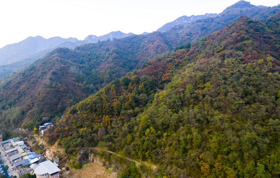 秦岭山秋景