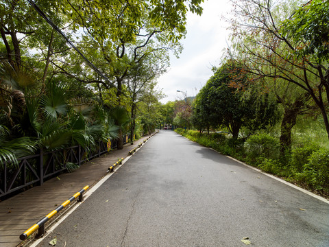 广西桂林市芦笛岩景区道路