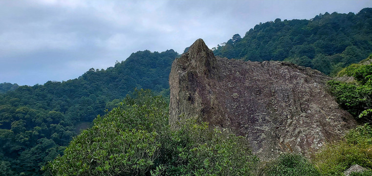 山顶美境