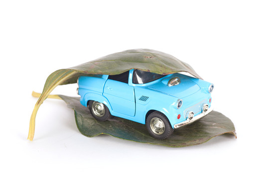 白背景上绿色的树叶和小汽车模型