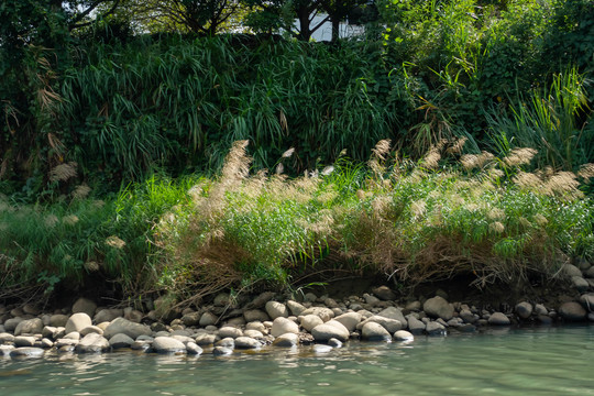 福州永泰榕水谣景区