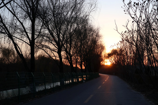 夕阳下的道路