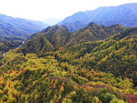 航拍秦岭分水岭秋景210国道